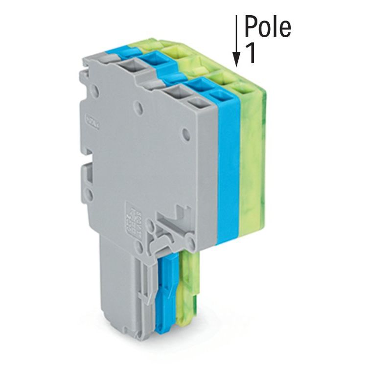 WAGO - Ein- und mehrpolige Klemmenleiste 2-Leiter-Federleiste 2020-203/000-038 1,5mm²,gr/bl/gn-ge − 50 Stück