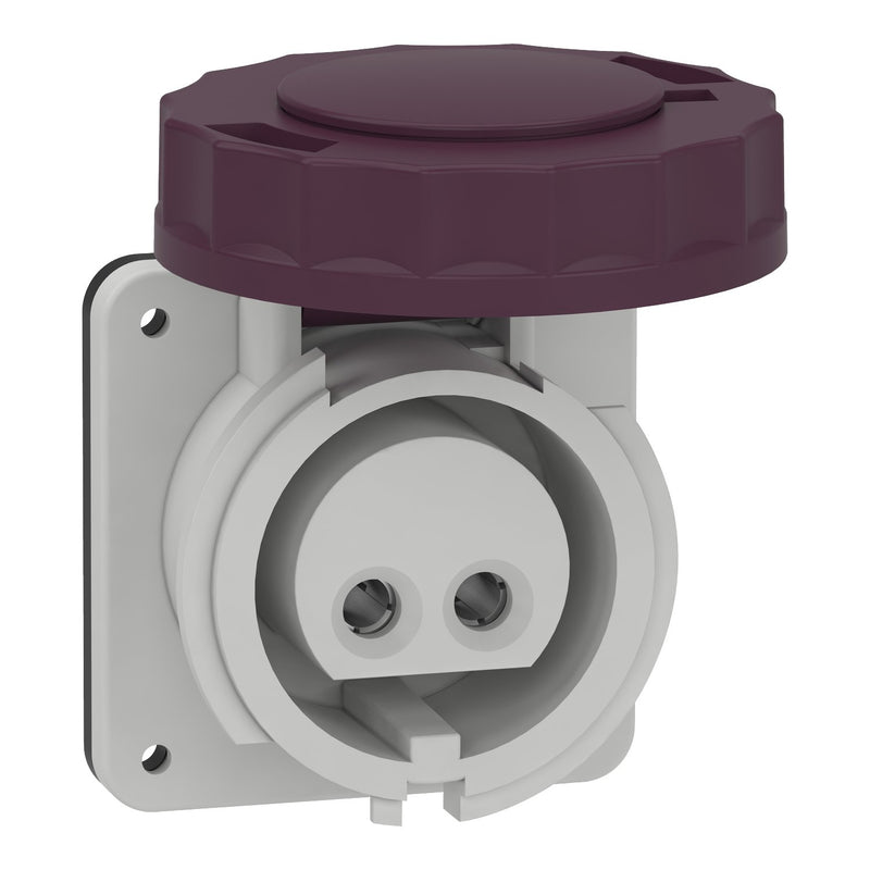 Schneider Electric - CEE-Anbausteckdose (IEC 60309) Industriesteckdose 82951 gerade, 16A, 2-polig
