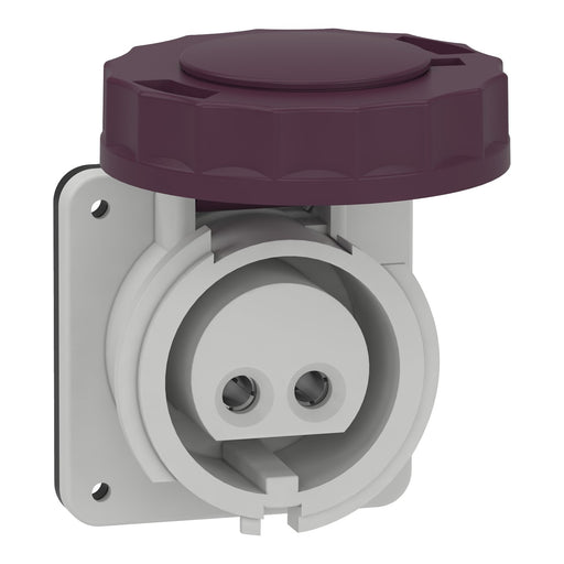 Schneider Electric - CEE-Anbausteckdose (IEC 60309) Industriesteckdose 82951 gerade, 16A, 2-polig