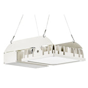 Pracht - Hallen - Reflektorleuchte LED - Strahler QUADRONIUS #86890121 4000K 40°