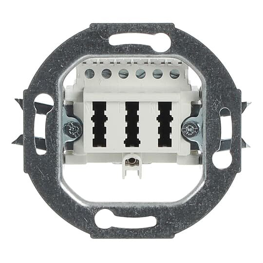 Busch-Jaeger - Einsatz/Abdeckung für Kommunikationstechnik TAE-Anschlussdose aws 0243/04 3x6 NFN