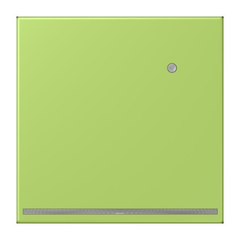 Jung - Orientierungsleuchte LED-Orientierungslicht LC 1539-O LNW 221 vert clair (32052)