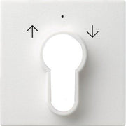 Gira - Abdeckung/Bedienelement für Installationsschalterprogramme Zentralpl. Schlüssel. rws 066427 System55