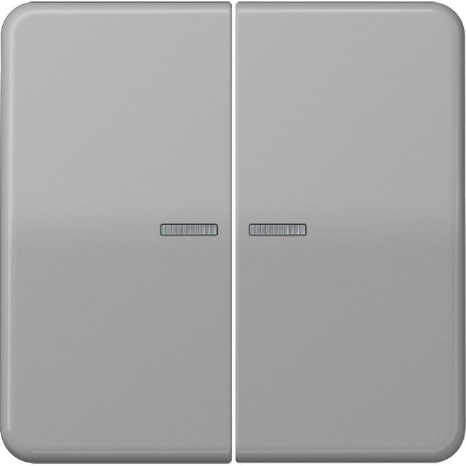 Jung - Bussystem-Tastsensor KNX RF Taster 2fach CD 10921 ST RF GR Duroplast, Serie CD