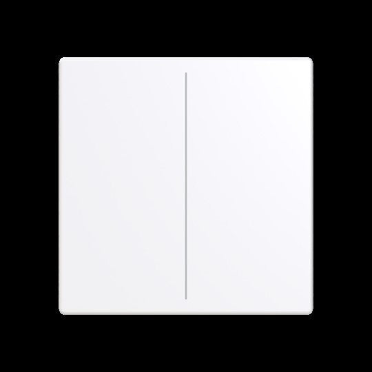 Busch-Jaeger - Bussystem-Tastwippe Abdeckung, 2-fach LFW/A.2.63.11-84 für Keypad