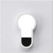 Gira - Abdeckung/Bedienelement für Installationsschalterprogramme Abdeckung 866403 Schlüsselschalter
