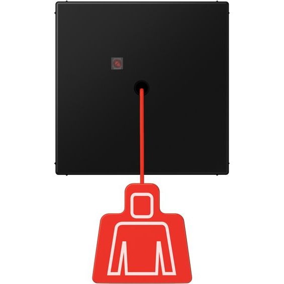 Jung - Behindertenelement für Installationsschalterprogramme Notrufsystem Zugtaster NRS LS 0834 ZT SWM LS grschwarz m − 1 Stück