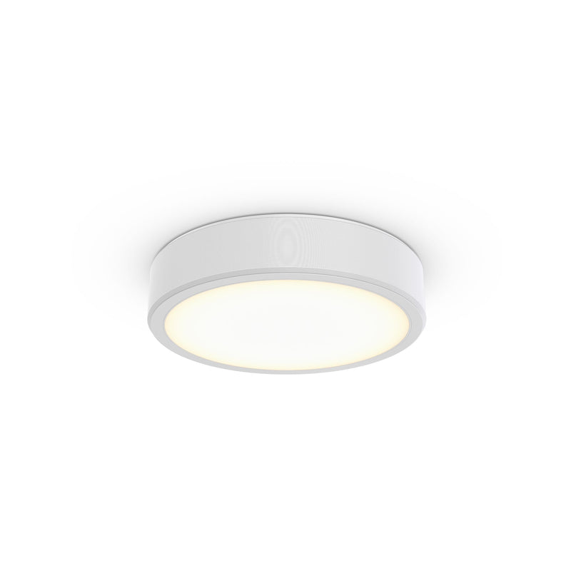 Philips Lighting - Decken-/Wandleuchte 3D-LED-Leuchte TCBRMS 19S #86389700 940
