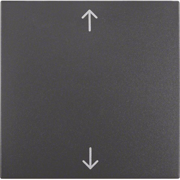 Berker - Abdeckung/Bedienelement für Installationsschalterprogramme Wippe anth matt 16201616 m.Symbol Pfeile
