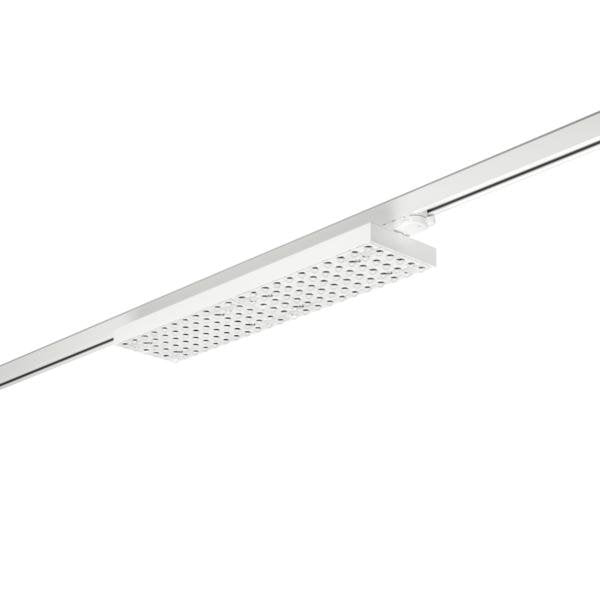 Brumberg Leuchten - Downlight/Strahler/Flutlicht LED-Schienenstrahler 44031173DA 3000K, DALI