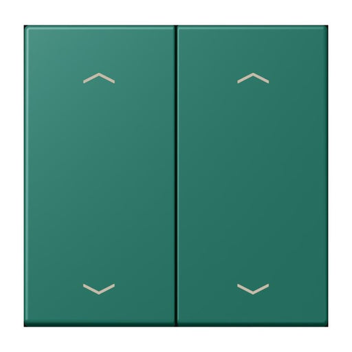 Jung - Abdeckung/Bedienelement für Installationsschalterprogramme Wippe mit Pfeilsymbolen LC 102 P 216 vert anglais