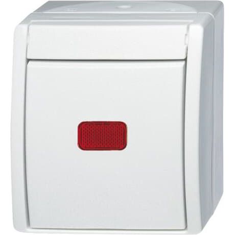 Busch-Jaeger - Installationsschalter Kontr.-Wechselschalter 2601/6 SKW-54
