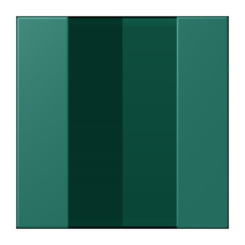Jung - Abdeckung/Bedienelement für Installationsschalterprogramme Tastensatz 1fach LC 501 TSA 216 vert anglais