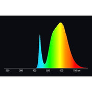 Radium Lampenwerk - LED-Lampe/Multi-LED LED-Kompaktlampe RL-LONG18 840/2G11HF