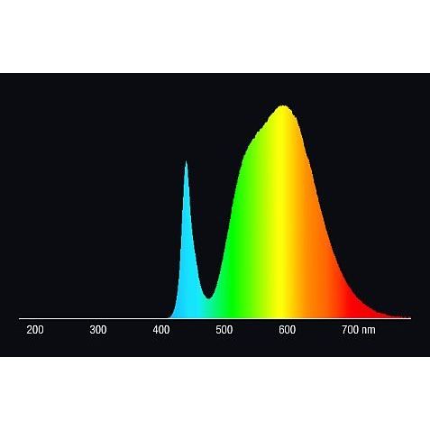 Radium Lampenwerk - LED-Lampe/Multi-LED LED-Kompaktlampe RL-LONG18 840/2G11HF