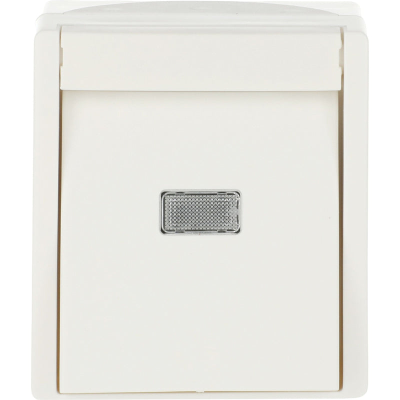 Busch-Jaeger - Taster Wipptaster,mit Beleuchtung 2621 WGL-54