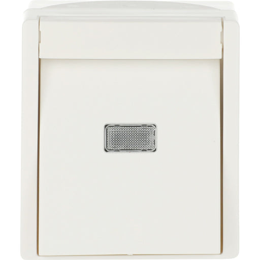 Busch-Jaeger - Taster Wipptaster,mit Beleuchtung 2621 WGL-54