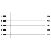 Phoenix Contact - Rundsteckverbinder, feldkonfektionierbar (Industriesteckverbinder) Wanddurchführung SACC-DSI-MS-#1551888 − 1 Stück