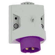 Bals Elektrotech - CEE-Gerätestecker (IEC 60309) Kleinspann.-Wandstecker 460 16A 2p 24V