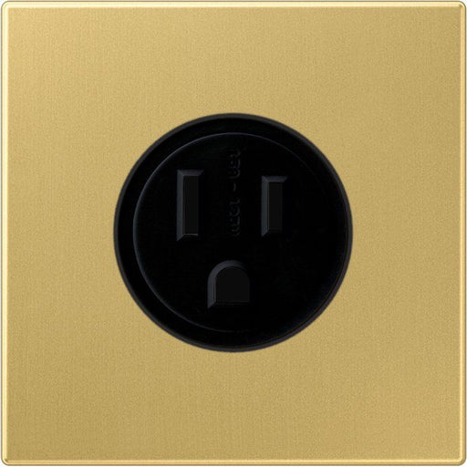 Jung - Steckdose US-Norm NEMA ME 2521-15 C 15A 125V,Me. classic