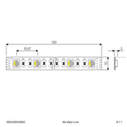 EVN Lichttechnik - Lichtschlauch/-band LED-Strip 24V SB2024150509902 5m RGBW