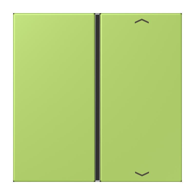 Jung - Abdeckung/Bedienelement für Installationsschalterprogramme Taste 1fach m. Pfeilsymb. LC 401 TSAP 221 vert clair