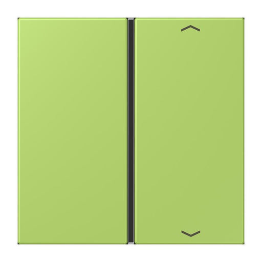 Jung - Abdeckung/Bedienelement für Installationsschalterprogramme Taste 1fach m. Pfeilsymb. LC 401 TSAP 221 vert clair