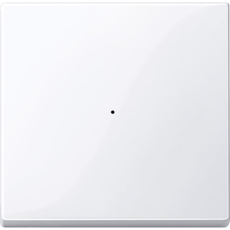 Merten - Bussystem-Tastwippe Wippe aws/gl 619125 f.Tastermodul 1f
