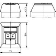 Telegärtner - Kommunikationsanschlussdose Kupfer Anschlussdose AMJ45 8/8K 100023002 Ap Cat6A aws 80x65mm