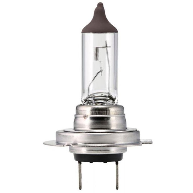 Scharnberger+Hasenbein - Fahrzeuglampe Autolampe Halogen H7 81137 PX26d 24V 70W