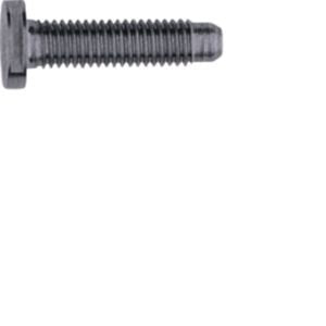 Elcom - Maschinenschraube/Bolzen Schraube Spezial ZY M5x25 PVD anth M5x25 PVD anth