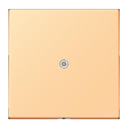 Jung - Einsatz/Abdeckung für Kommunikationstechnik Leitungsauslass m. Zugent. LC 990 A 258