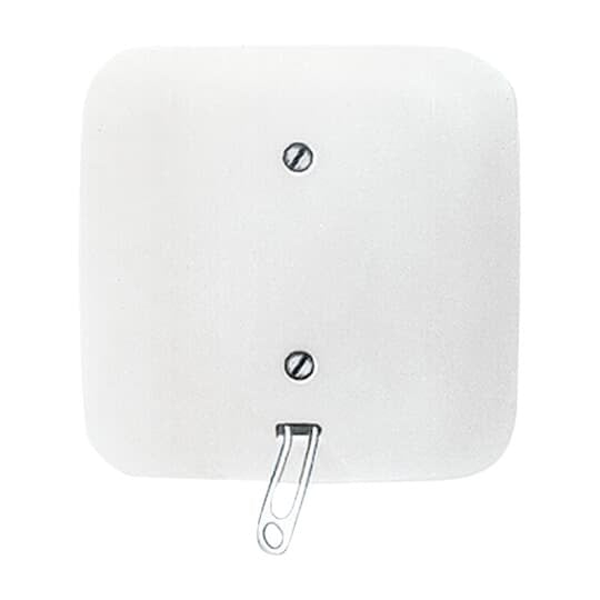 Busch-Jaeger - Installationsschalter Zugwechselschalter aws 2610/6 UJ-214 UP