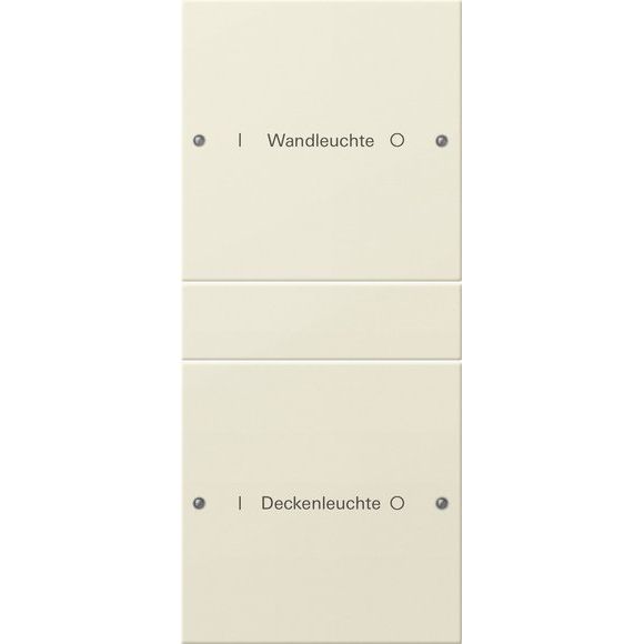 Gira - Bussystem-Tastwippe Wippenset 2-fach 220201 beschr. Sys 55 crws