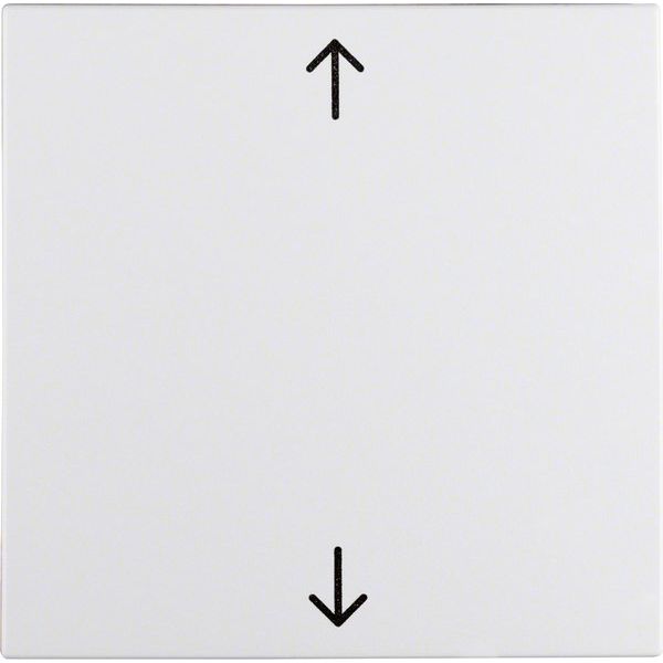 Berker - Abdeckung/Bedienelement für Installationsschalterprogramme Wippe pws 16201919 Symbol Pfeil