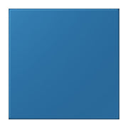 Jung - Behindertenelement für Installationsschalterprogramme Notrufsystem Netzteil NRS LC 0834 NT 211