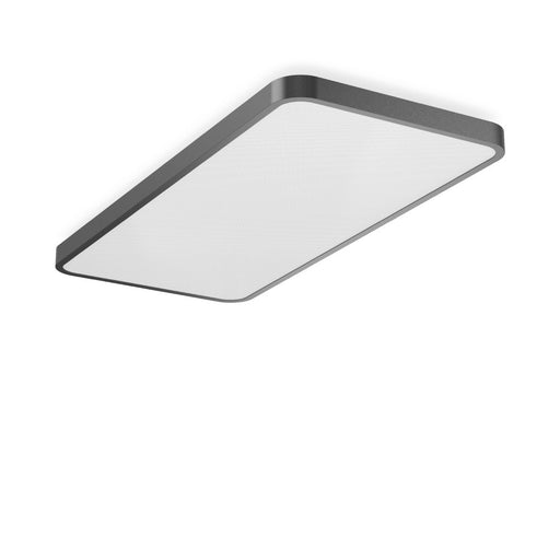 RZB - Decken-/Wandleuchte LED-Wand-u.Deckenleuchte 312720.0031.1.76 840, DALI, anthrazit
