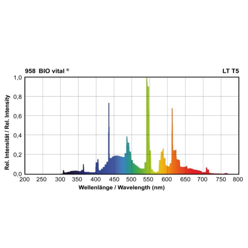 Scharnberger+Hasenbein - Leuchtstofflampe Leuchtstofflampe T5 68159 16x1449mm G5 49W958  − 1 Stück