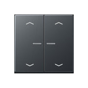 Jung - Bedienelement intelligent Taster 2fach BT A 17102 BF P ANM JUNG HOME