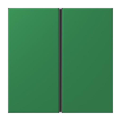 Jung - Abdeckung/Bedienelement für Installationsschalterprogramme Tastensatz 1fach LC 401 TSA 219 vert fonce