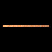 Striebel&John - Sammelschiene Innenausbau Modul ZXM1223 4FB 30x10