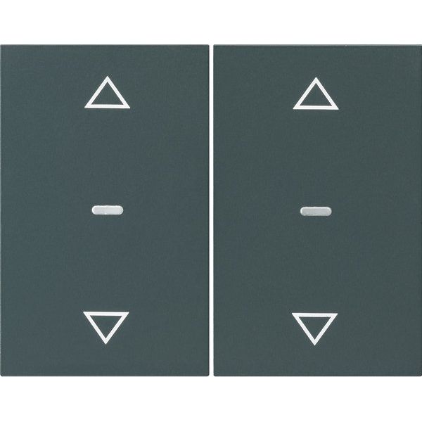 Berker - Abdeckung/Bedienelement für Installationsschalterprogramme Abdeckung Tastsensor-Modul 80961375 2-fach anthrazit