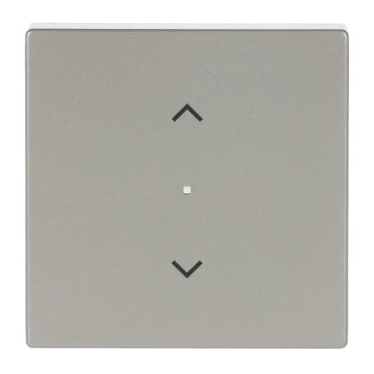 Busch-Jaeger - Bussystem-Tastwippe Wippe eds 6232-10-866 pur Edelstahl