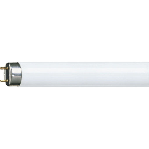 Philips Lighting - Leuchtstofflampe TL-D 36W-1/830 36W 3000K G13 1000mm