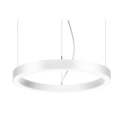 Brumberg Leuchten - Pendelleuchte LED-Pendel-Ringleuchte 13525173 D450mm, H100mm