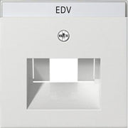 Gira - Einsatz/Abdeckung für Kommunikationstechnik Zentraleinsatz rws-gl 028403 f.UAE-IAE Anschluß