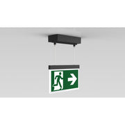 RP-Technik - Sicherheitsleuchte LED-Rettungszeichenleuchte AMDC009ML-AZ ZB + ML, anthrazit