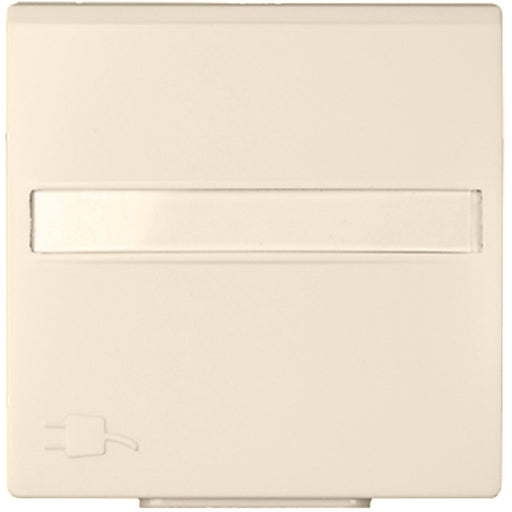 Elso - Steckdose Zentralplatte rws 263164 f.Std.m.Klappd