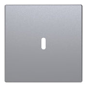 Busch-Jaeger - Einsatz/Abdeckung für Kommunikationstechnik Zentralscheibe 6479-83 USB-C-Power