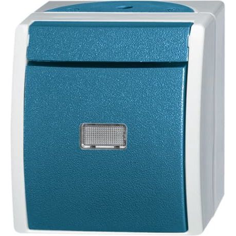 Busch-Jaeger - Taster 2621 WGL-53 Schliesser gem.ASV